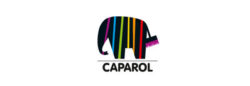 partner_caparol-250x86-1.jpg